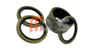 JOINT CACHE POUSSIERE 38x50x4mm