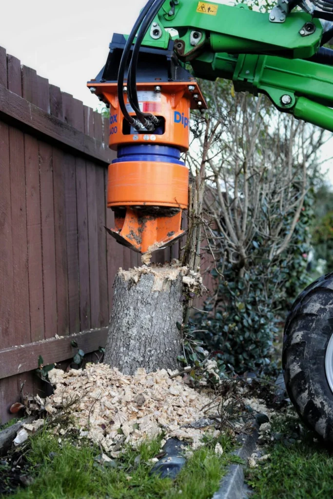 1725946447108-1025x1536