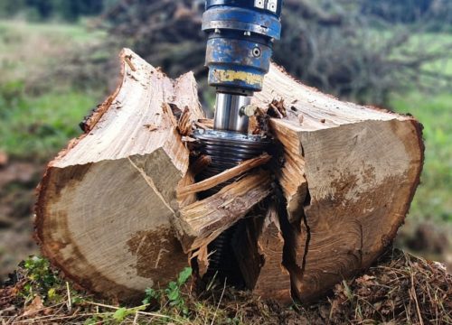 PHOTO-2021-10-11-17-10-12-500x360